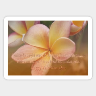 Thinking of you Frangipani Flower Valentines Card Sticker